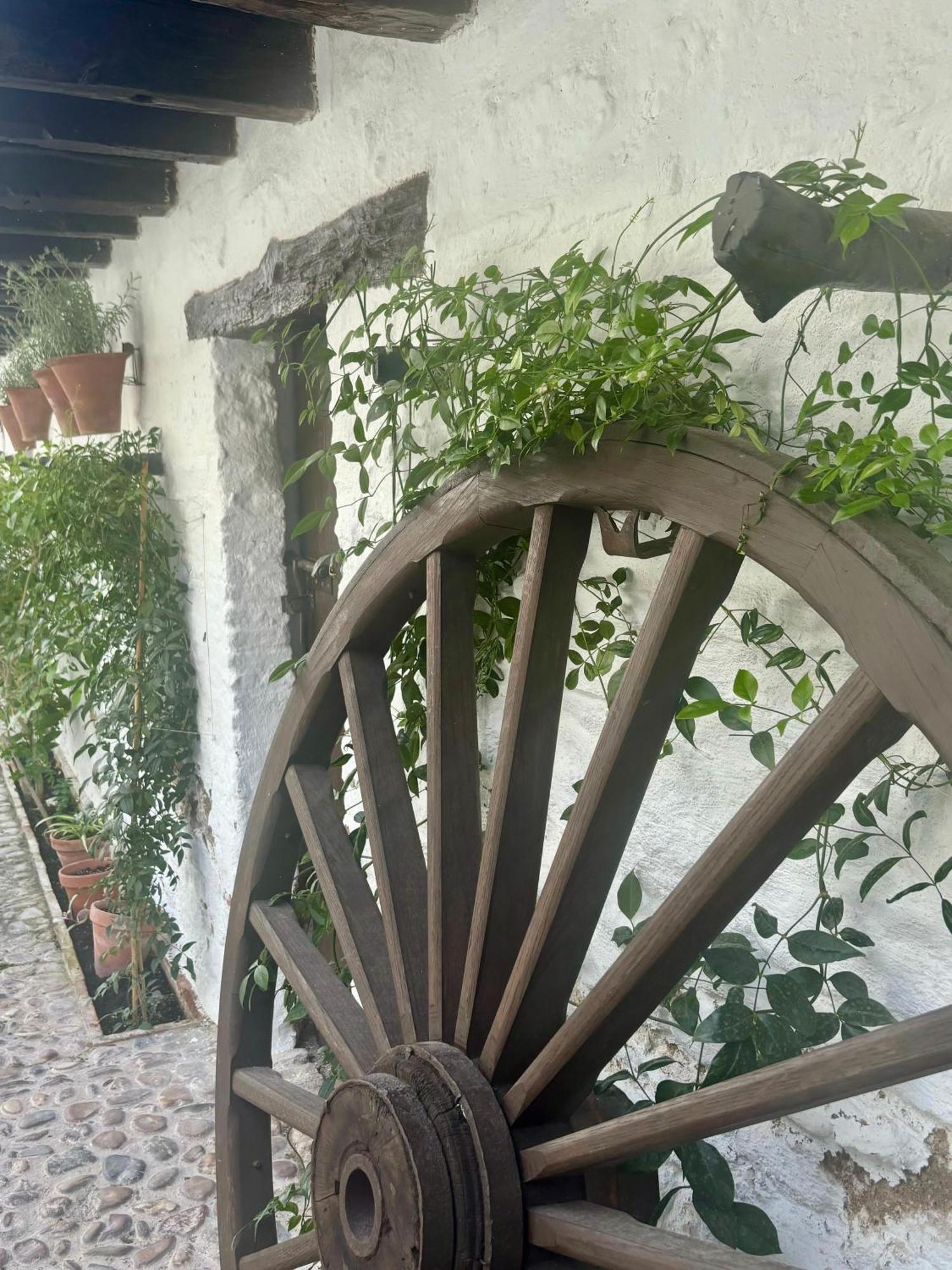 קורדובה La Buganvilla De Santiago מראה חיצוני תמונה