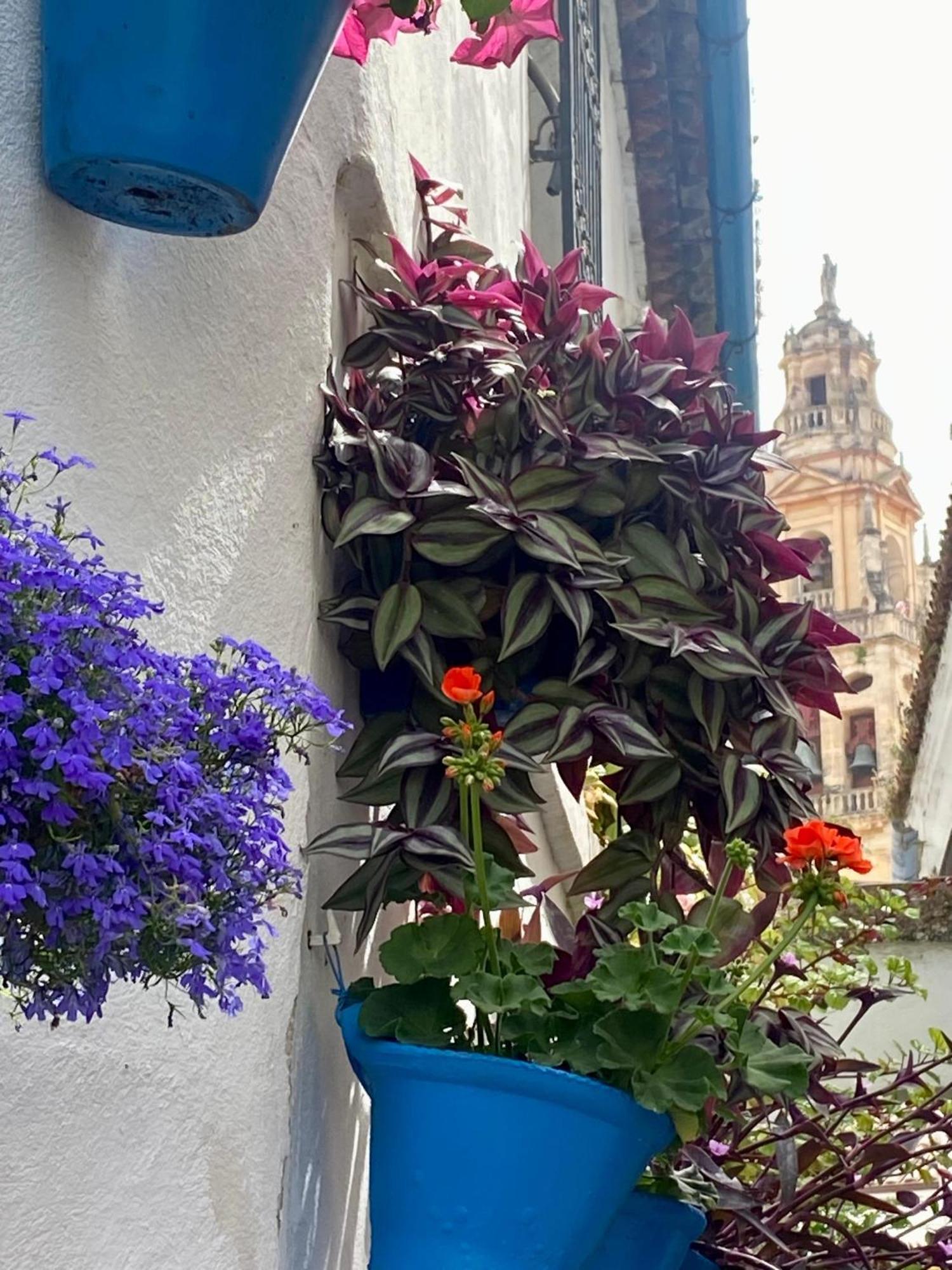 קורדובה La Buganvilla De Santiago מראה חיצוני תמונה
